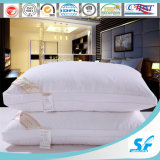 2015 Hot Popular Pillows in White Color