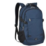 Laptop/ Computer Backpack Outdoor Sports /Hiking Backpack Zh-Cbk005