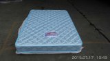 Wholesale Soft Cheap Dormitory Family Mattress