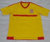 New 2015-16 Welsh National Team Soccer Jersey