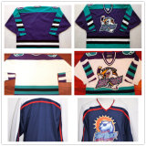 Craig Fisher David Bell Echl Orlando Solar Bears Jersey Hockey