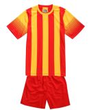 Football Jersey Soccer Jersey Cheap Jersey