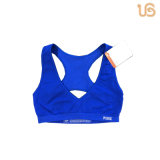 Ladies Seamless Training Bra Lingerie