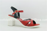 Fashion Sexy Comfort High Heels Lady Sandals