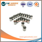 Tungsten Carbide Rock Button Bits Drill Bits