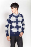 Fashion Round Neck Patterned Knitting Sweater for Men