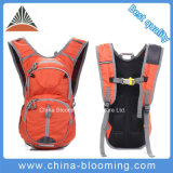 Sports Travel Camping Mountain Climbing Hiking Bag Rucksack Backpack