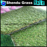 PE Material 25mm Artificial Grass Carpet for Exporting