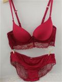 Good Quality Microfiber Bra Set with Elegant Lace Trim (EPB286)