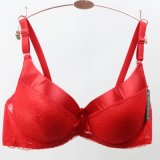 Stylish Lace with Satin Trim Gig Size Bra for Women