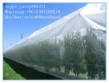 HDPE Transparent Agricultural Anti Insect Net for Fruit Anti-Bird and Anti-Insect