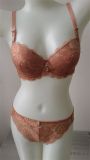 Factory Direct Sales Royal Lace Lingerie Bra Set for Women (CS05587)