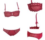 Elegant Embroidery Transparent Women Underwear Set (FPY328)