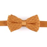 New Design Fashion Bowtie for Men (YWZJ 26)