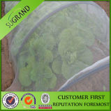 New Virgin HDPE Cheap Garden Anti Insect Nets