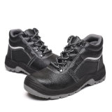 Chemical Resistant Safety Shoes for Wokers