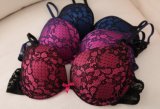 Wholesale Italia Lace Flattering Lift up Top Bra (FPY326)