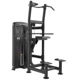 Commercial Gym Equipment Manufacturer Bu-008 Assist DIP Chin