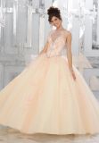 2017 New Design Prom Party Evening Ballgown Quinceaner Dress (89147)