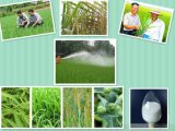 Agricultural Chemicals Weedicide Herbicide Grass Killer Diuron Diurex