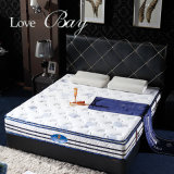 Scandinavian Stylish Bedroom Furniture -- Soft Furniture - Sofa Bed - Latex Mattress