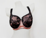 European Style New Design High Quality Sexy Bra in Low Price (CS9929)