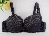 Big Size Ladies Underwear Bra New Design