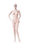 Female Women Skin Color Full-Body Plastic Mannequin Manikin