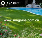 Artificial Lawn Carpet for Your Garden and Courtyard or Swimming Pool (SUNQ-HY00017)