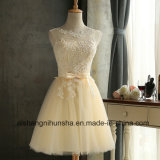 Elegant Lace Dress Sleeveless Tuxedo Exy Slim Christmas Party Dress