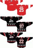 Ontario Hockey League Sault Ste. Marie Greyhounds Customized Ice Hockey Jersey