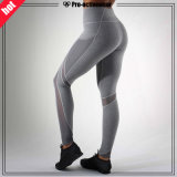 OEM Factory Custom Women Fitness Gym Clothing Wear