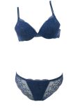 High Class Sexy Lace Lingerie Bra Set (FPY319)