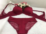 2016 New Fashion Nice Lace Bra for Fashion Ladies (EPB303)