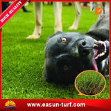 Curly PE Synthetic Lawn Carpet with High Quality