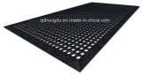 Factory Directly Sale Multi-Purpose Door Mat or Carpet