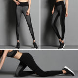 92% Cotton 8% Spandex 180 GSM Splicing Fabric Gym Women Pants/Trouser