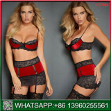 New Arrival Hot Sale Strapless Lace Sexy Lingerie