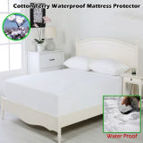 Noiseless and Soft Cotton Terry-Fitted Style Mattress Protector