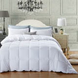 Cozy Beddings Down Alternative Comforter/Duvet Cover Insert, Twin, White
