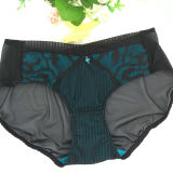 High Quality Women Brief Transparent Underwear