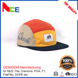 Customized Logo Printed Fashion Hat (ACEW099)