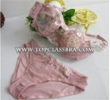 Hot Sales Transparent Bra and Panty for Sexy Lady (FYB1015)