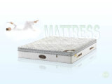 Modern Bedroom Furniture, Nice Design Bed Mattress (LS-1)