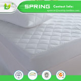 China Supplier Home Bedding Terry Cotton 100% Waterproof Mattress Protector Fitted Sheet