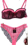 Stylish Romantic Lace Lingerie Bra and Panty Set for Ladies (CSM011)