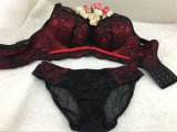 Sexy Fancy Bra Panty Set (EPB265)