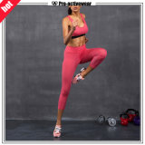 OEM Factory Wholesale Women Breathable Sexy Sports Wear