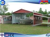 Steel Structure Carport/ Canopy for Daily Life