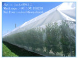 7 Years Lifetime with High UV Anti Insect Net